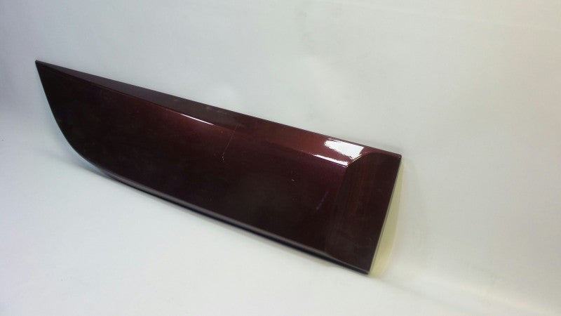 Friso Porta Tras Direita Renault Scenic III 09 - 17