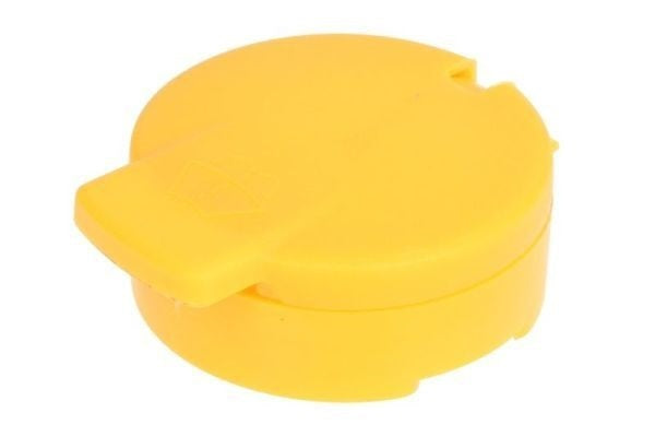 Tampa Deposito Limpa Vidros Renault Megane IV 16-24
